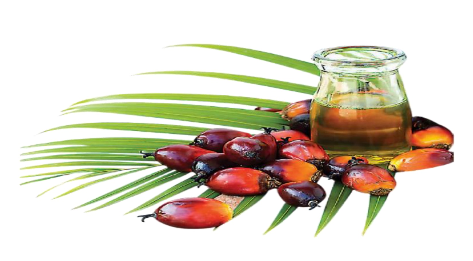 Ripe palm fruit resting on a palm frond beside a glass jar of palm oil