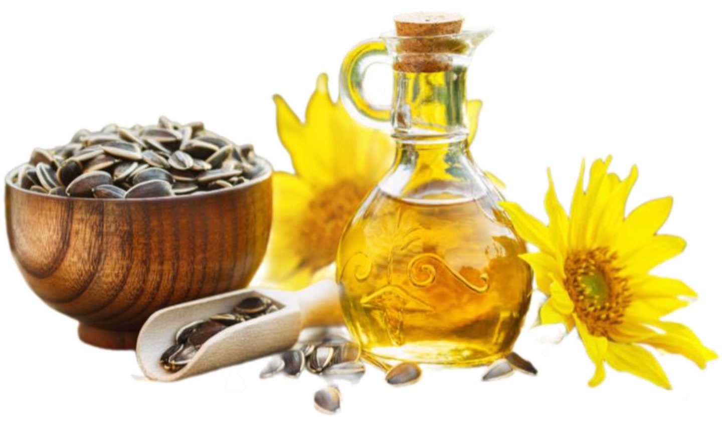 A bowl and scoop of sunflower seed beside a glass carafe of sunflower oil and cut sunflower heads